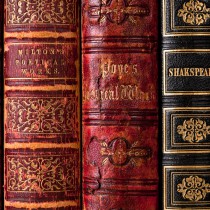Backgrounds_The_roots_of_old_books_on_a_library_shelf_101438_